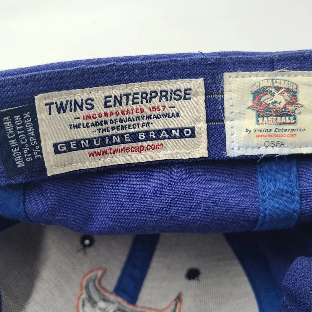 Vintage Durham Bulls Hat Fitted (Seems M-L) Twins Enterprise Blue Black MiLB Men